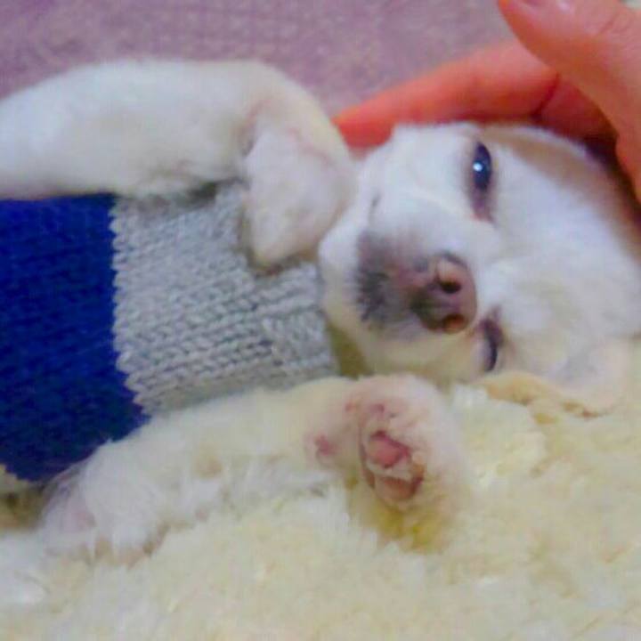 C790656b 42f3 48bd 99e1 13a876221375 1555587324221