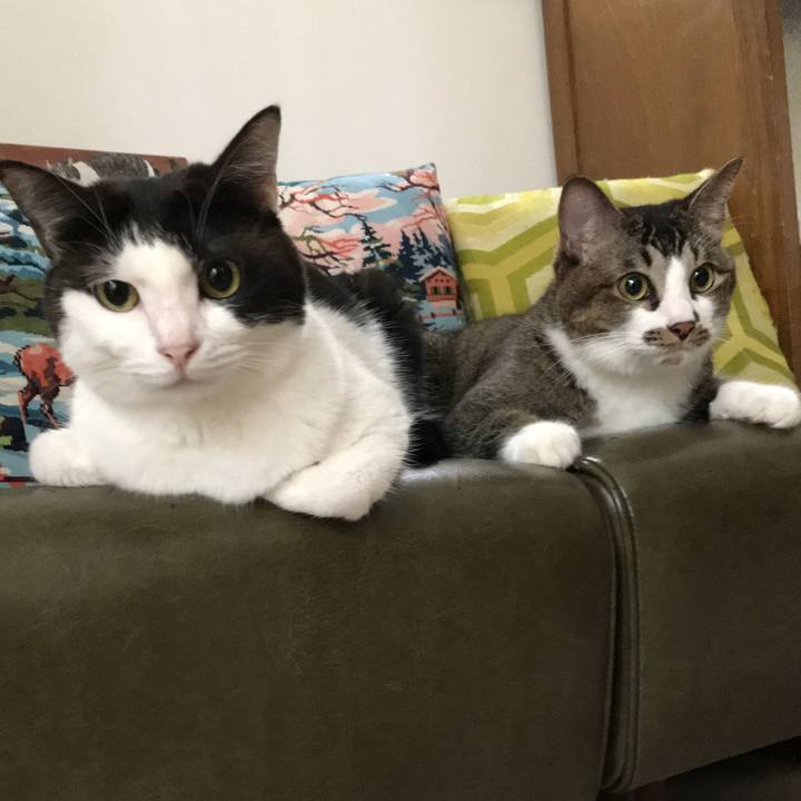 C7908dae 6133 4882 8fcb 4d4ff0ab728c 1571879171747