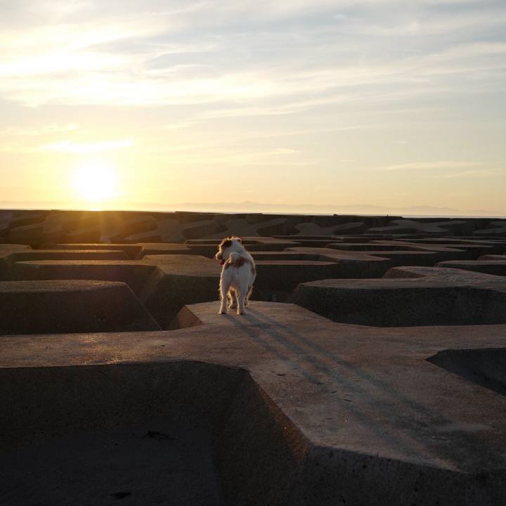 C790ba32 d583 466d b518 e0867d138513 1567742145085