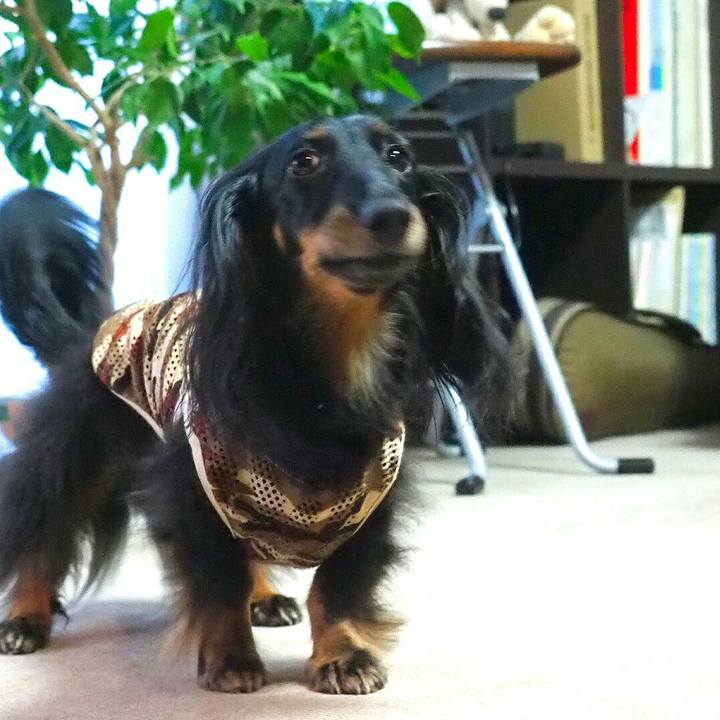 C790df68 1c63 4f18 ae28 9007eccc4a68 1532746945964