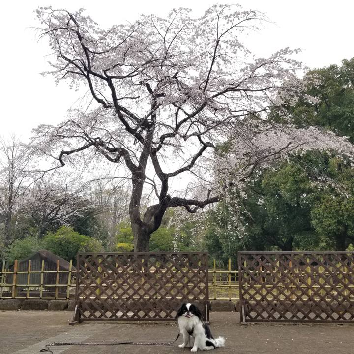 C790f0e8 a750 4580 b098 f4293d17df96 1679554633044