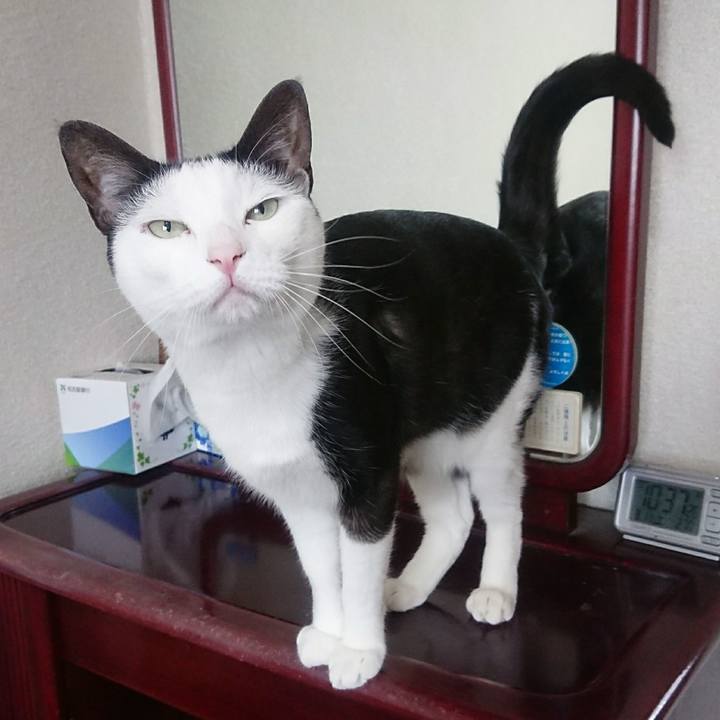 C790f256 6a75 4d58 80ec d0aa87e200c0 1539433535676