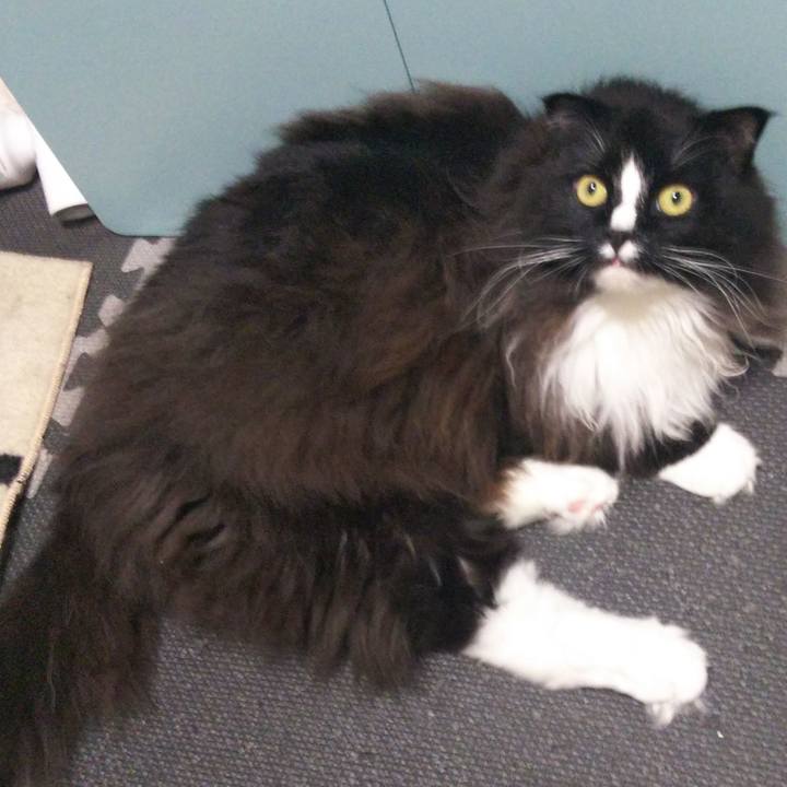 C790f5c2 7848 4b9f 9698 cda1ce75dfc3 1662264979507