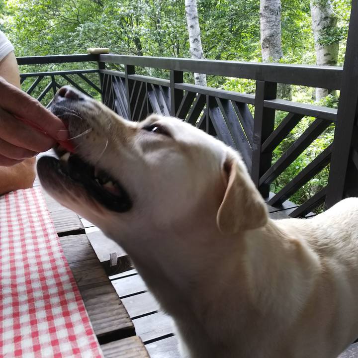 C790fcdc 0faa 4e9d b8bc c5b84be93131 1565658111142