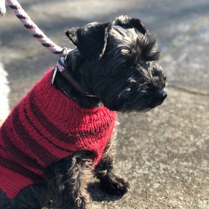 C791312c 7661 4533 97d6 052ffec8df59 1550490284352