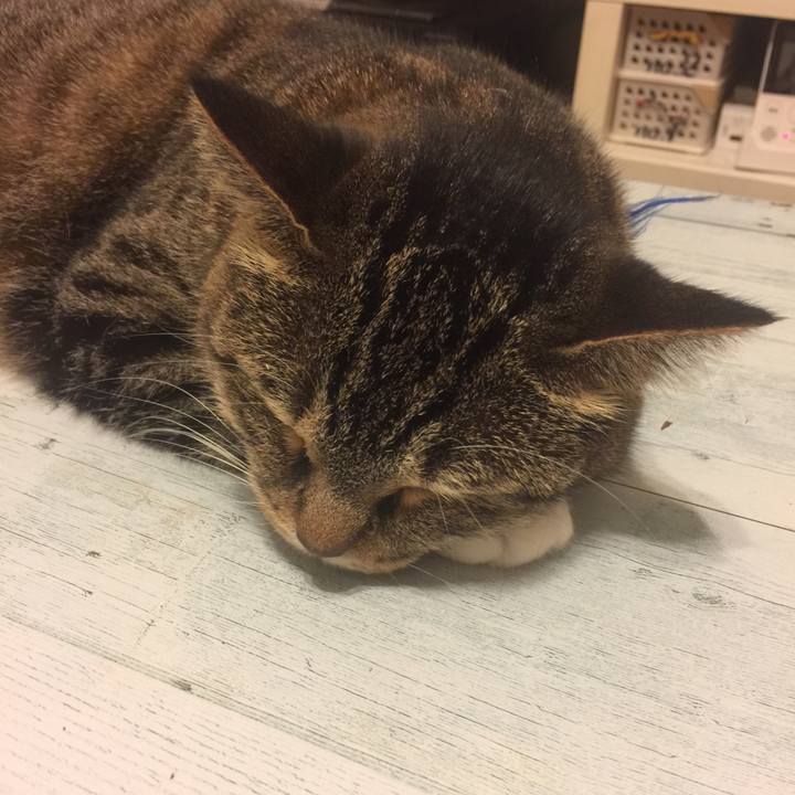 C79154d2 0a72 4844 8a33 299fe517a07f 1565196254484