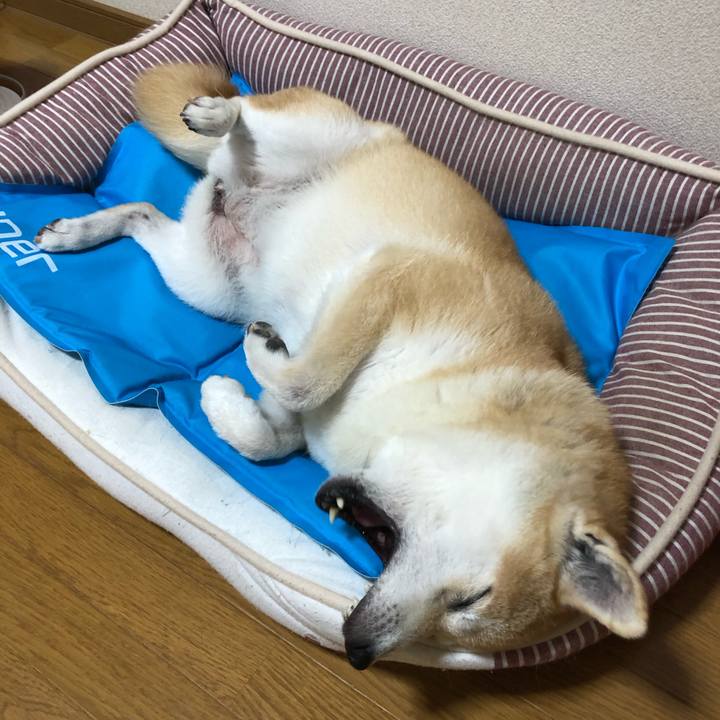 C791685f a81d 40f5 976a 0efafd1fbab9 1597102617205