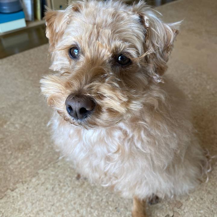 C791c3d0 c2e3 4a5f bc07 d2df0c68d5c4 1649557309239