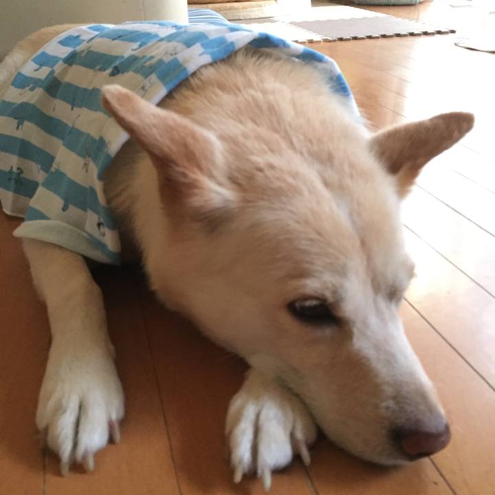 C791cc26 afad 4de3 924d d68440d35c0d 1528797078813