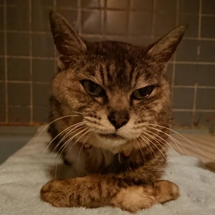 C791e05d 4b45 415e b48c 6429110c9cc6 1597141346356