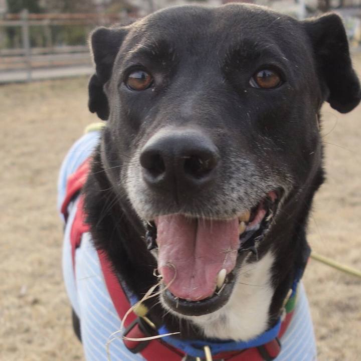 C791e300 8cec 4af4 9379 d2ab7210a7f7 1674795144632