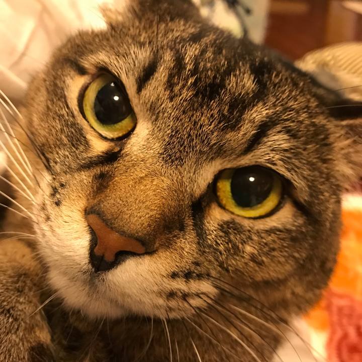 C791e3b7 3717 41a3 89f9 adf10e36c12c 1553371606210