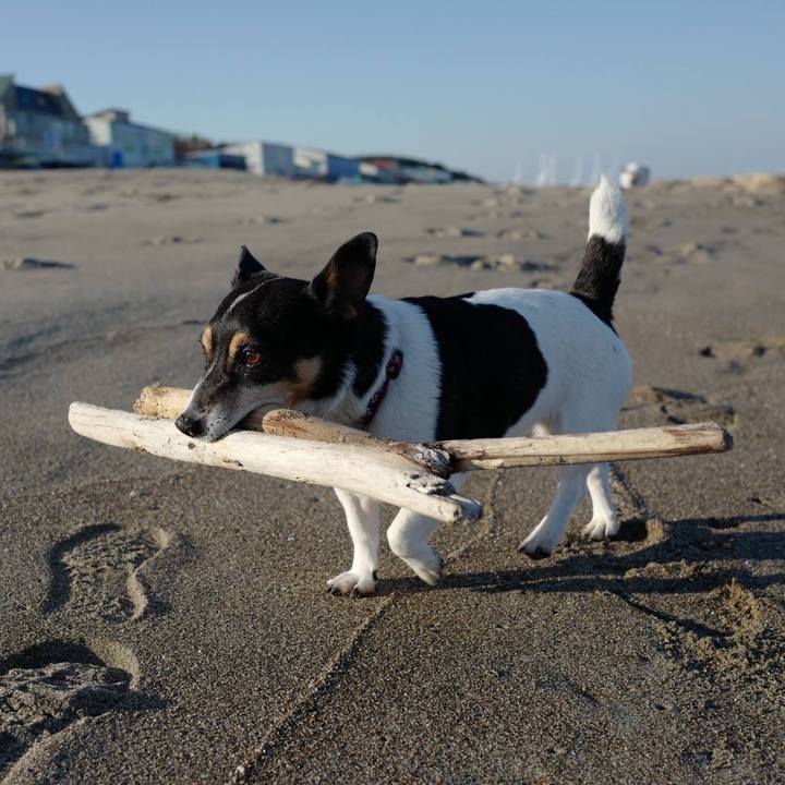 C791e955 2734 4b1c 8e16 ca7225d9f39d 1509685758534