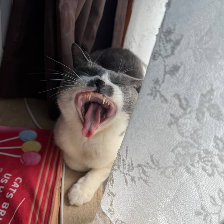 C791fea8 8c0f 47d2 afeb bca345250aa4 1775184067095