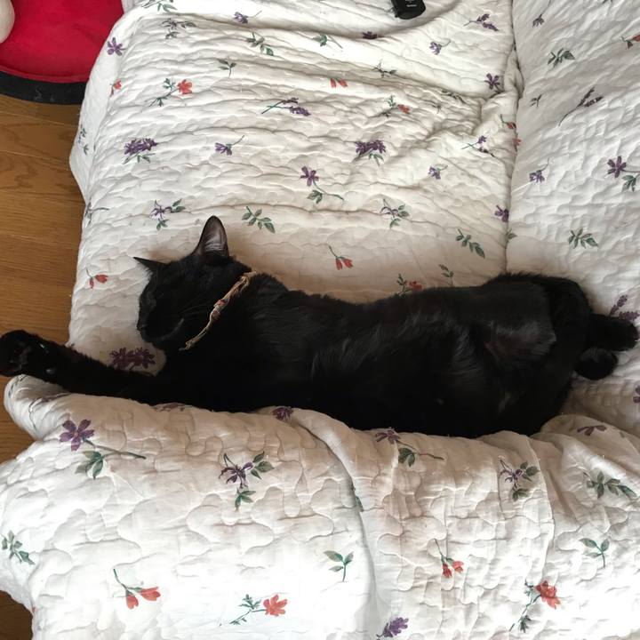 C7921ae9 d534 46fa 8967 a6caa2fec309 1640040034552