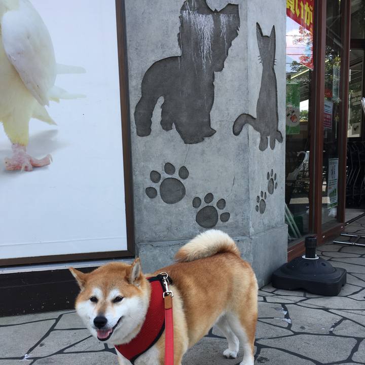 C7921eec 65d2 42ab 8e4b d49275d4ac46 1618193940847