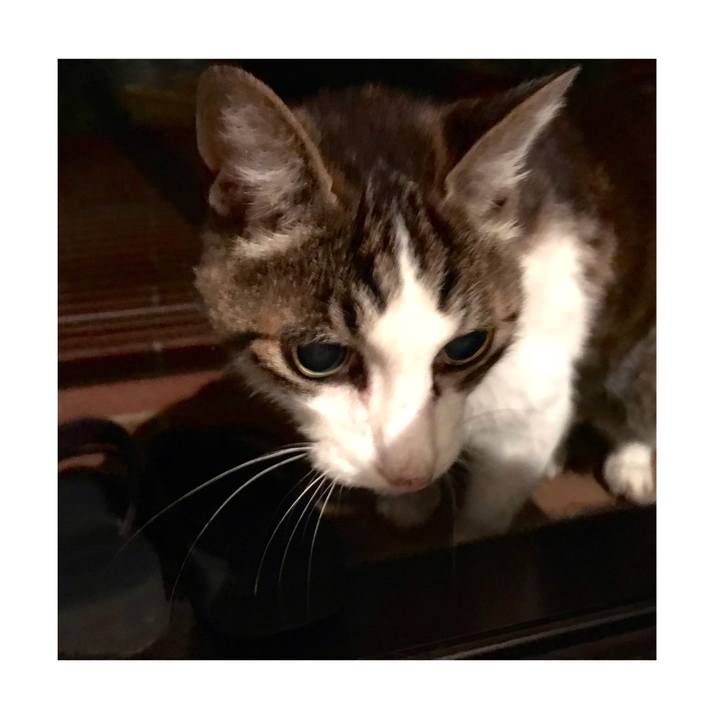 C792280c f97b 4f35 903a 3a843a91bd76 1624147539302