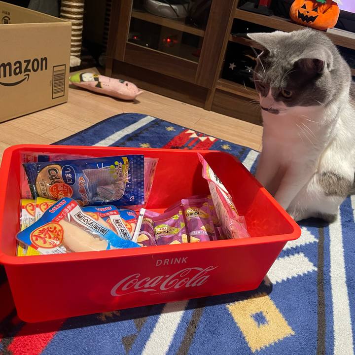 C7924a4e 0fea 4e99 87f6 412aa220fabe 1666176977789