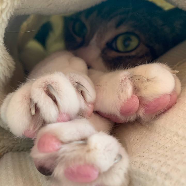 C79253c7 a5c5 4d05 8e92 d35859530fd3 1587949461041