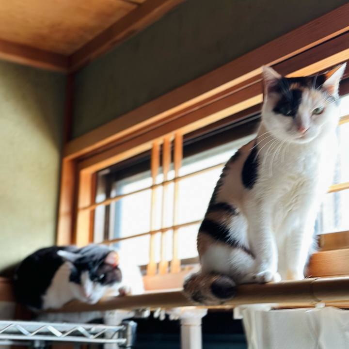 C79258be fde1 411d 96f1 101f1416db2c 1721355757051