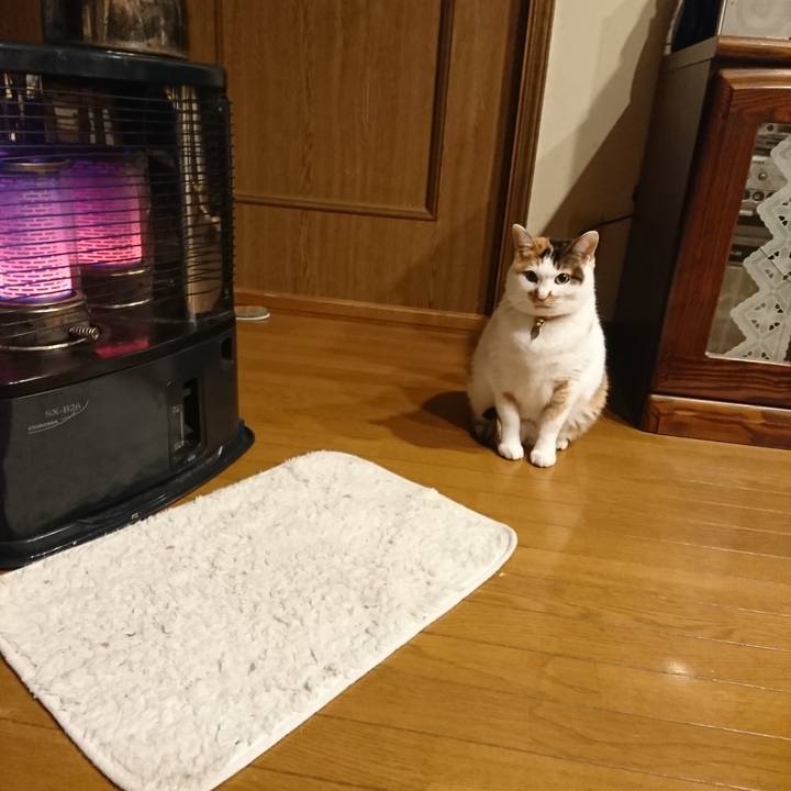 C792641c c23a 48f2 9599 dcdee57f60c6 1576170498782