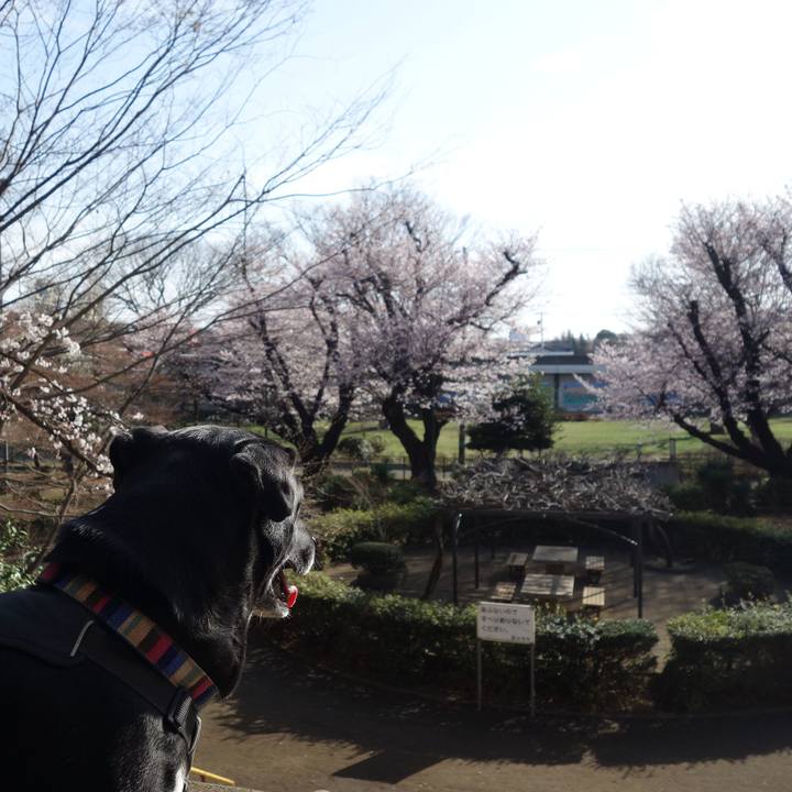 C79287fd 2f67 42db a538 f668e5f205d4 1648429055245