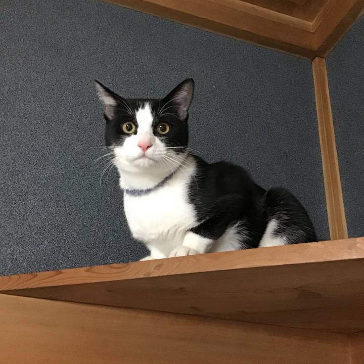 C79294d1 6718 4606 adda 0e37e4e7fbb6 1638222080423