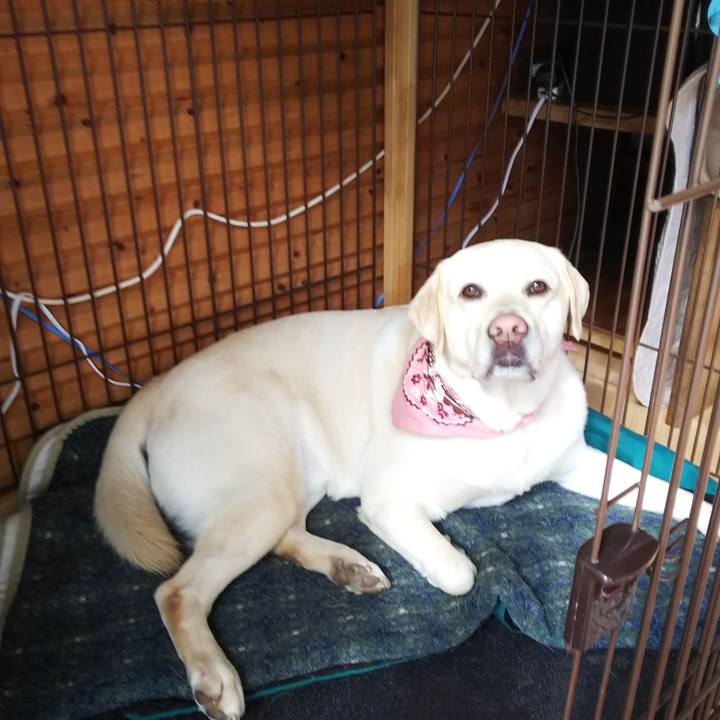 C7929ee7 d40d 41fd a2a1 483f82f57082 1552357943715