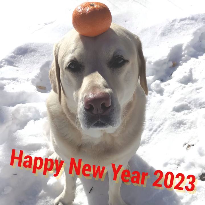 C792a443 93e2 4978 a5fe 67ec97df71f6 1672543668004