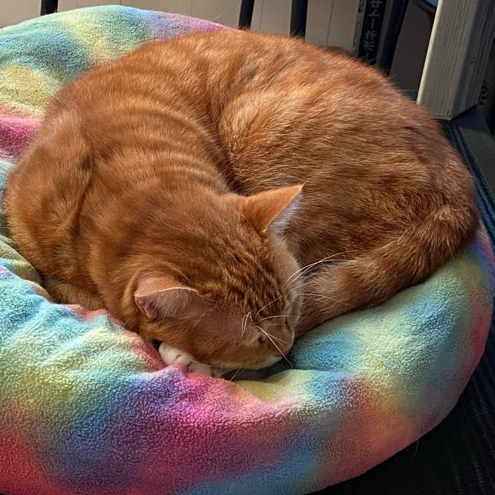 C7932a62 7679 485f aea2 2a8c7afd619d 1576302794796