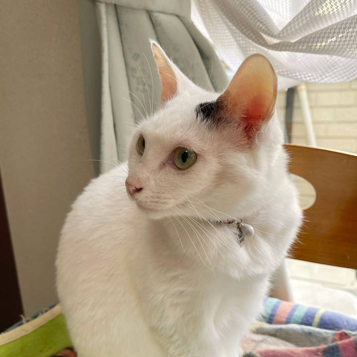 C7933645 8714 4bb2 a8d6 2abe4ba8f80f 1765587422804