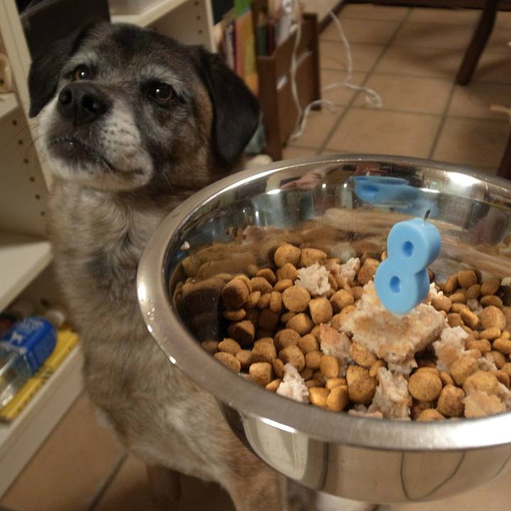 C793410a 8063 4a9c 97c0 95c581868425 1583799147302