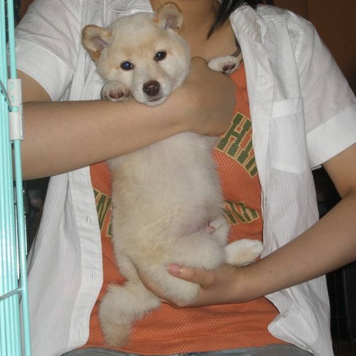 C793508c 4a1a 43bf 8d65 a6548368f3ad 1646579217202