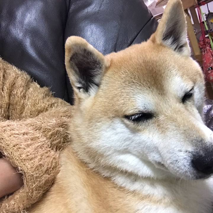 C7936d7f 87d3 4914 9258 0feecdaaad8d 1542199046138