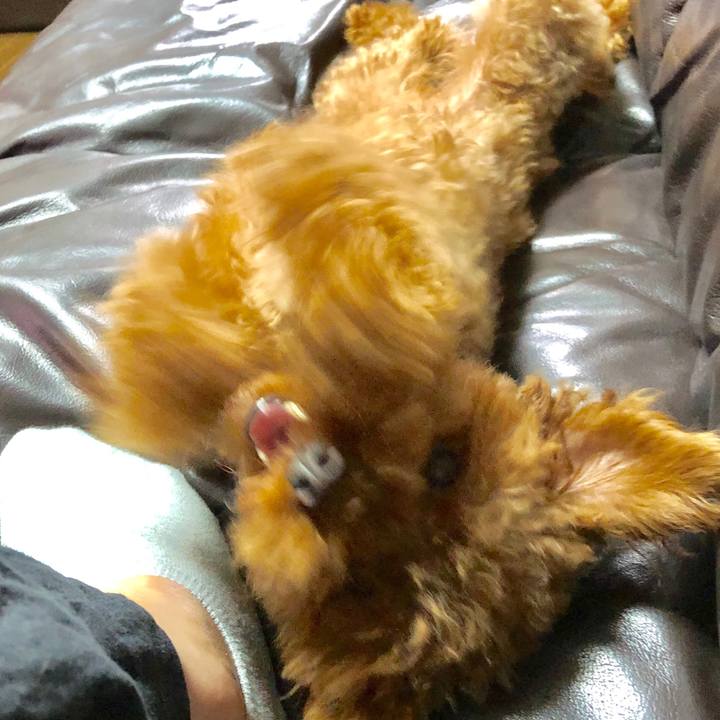 C793770c af50 40ea a5f4 e6c176389868 1566386494883