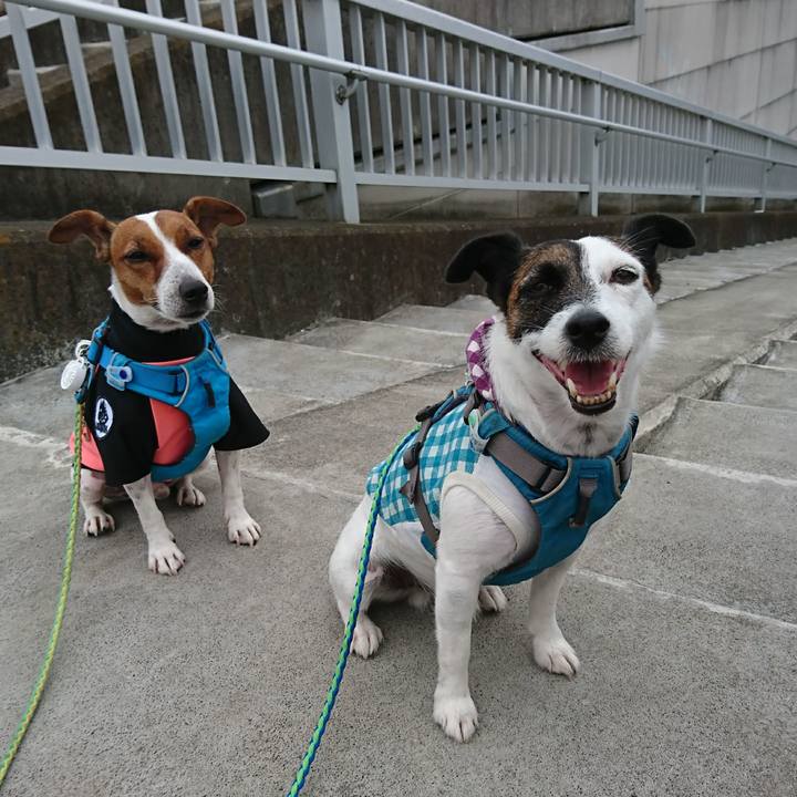 C7937ef1 7ee8 44db ad8b 776962c6765f 1599002718453