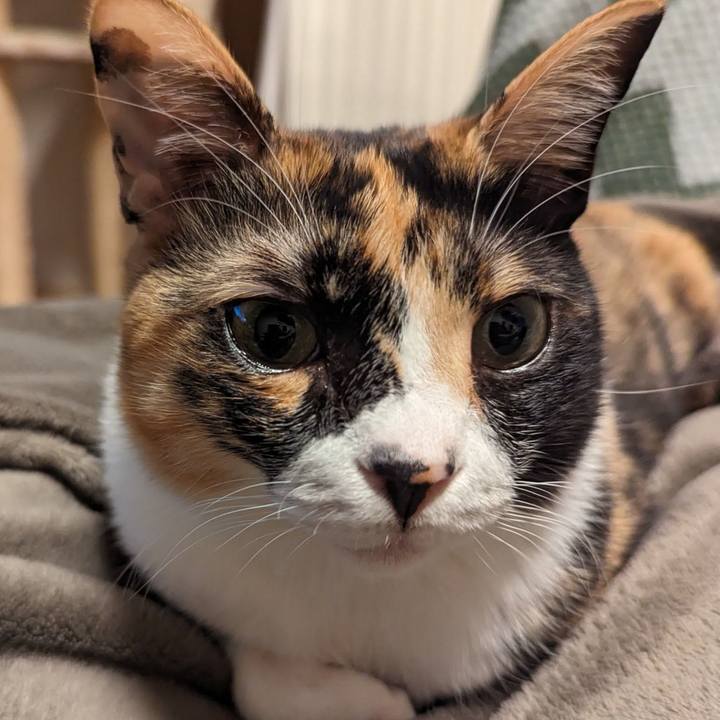 C7939f35 e2e4 4669 8855 cbfd61b3d4a0 1702789915785