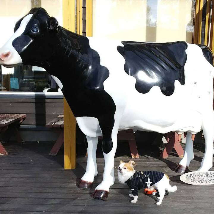 C794756f 85d2 4f46 ba6e e0d289060af5 1699958827835