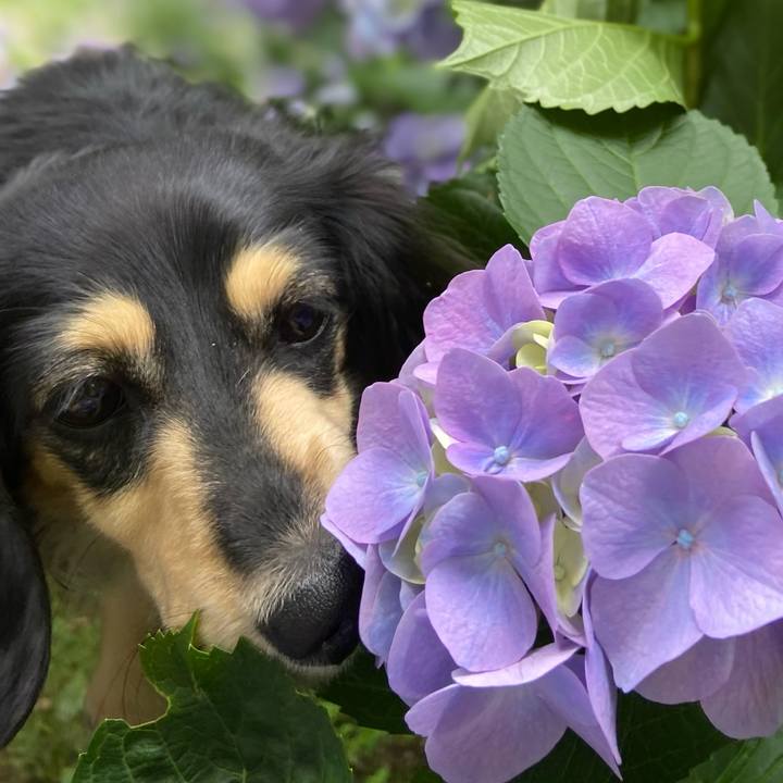 C794d51f 80fa 4b4a aec7 640c51e23464 1717655179170