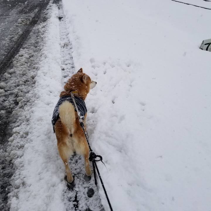 C794e062 3e63 45c0 b4be 40f6009cd465 1579585585095