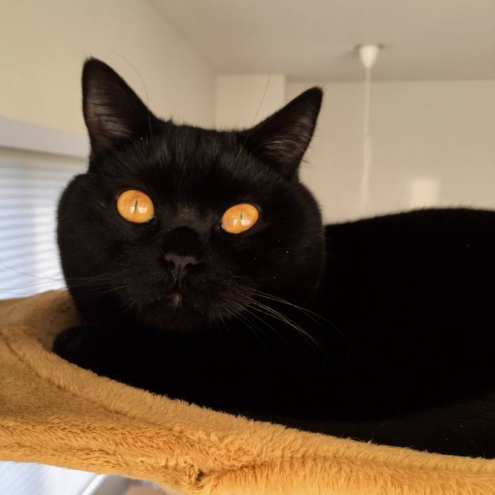 C794f2f4 7487 43aa afdf b4d9a3516c47 1520811523714