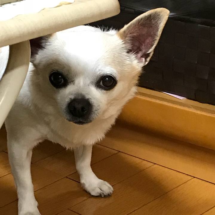 C794fe7c a0d6 4492 bbd1 a1e83309f584 1523539718339