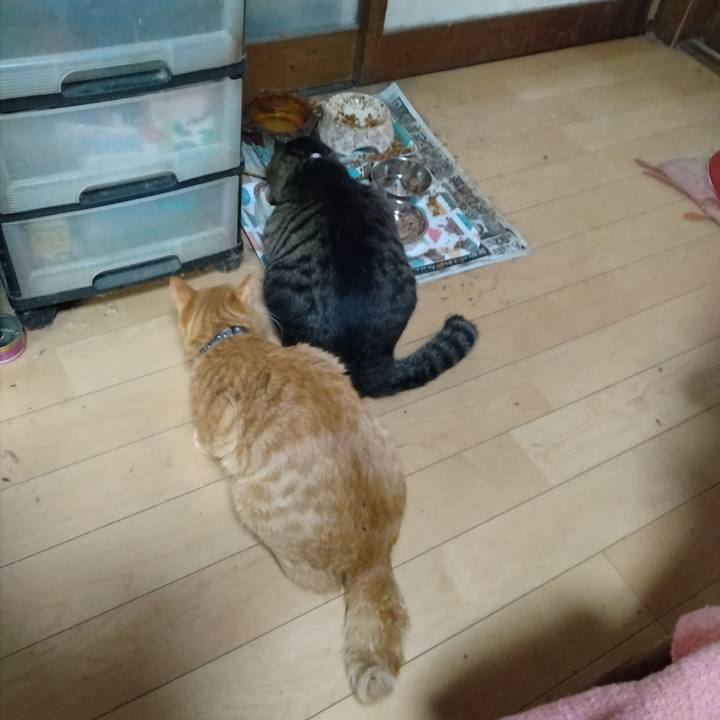 C7951b2a 852f 4b2c b60c 1e58a3f65670 1668119531456