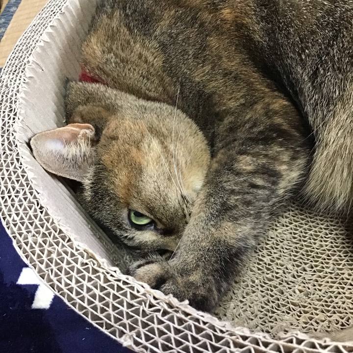 C7953d80 5f60 46b3 85ec 6f0d094986c4 1703989262416