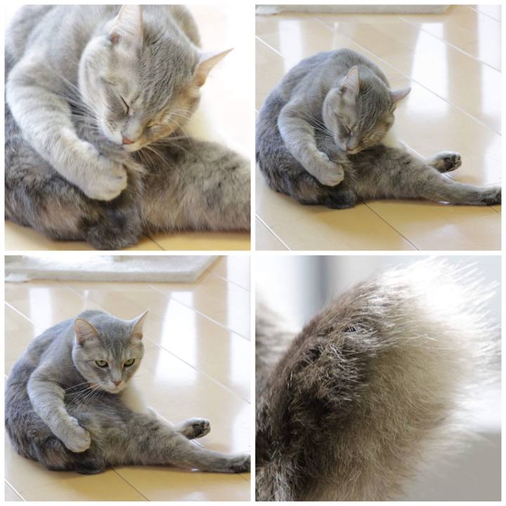 C7957131 b3d7 4aa4 80d6 eea332562b15 1586940327649