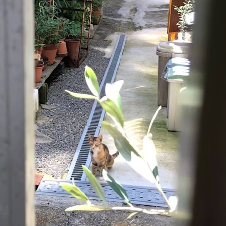 C79579cf c4cb 4f72 afca 81b95f5cf1f2 1539156640991