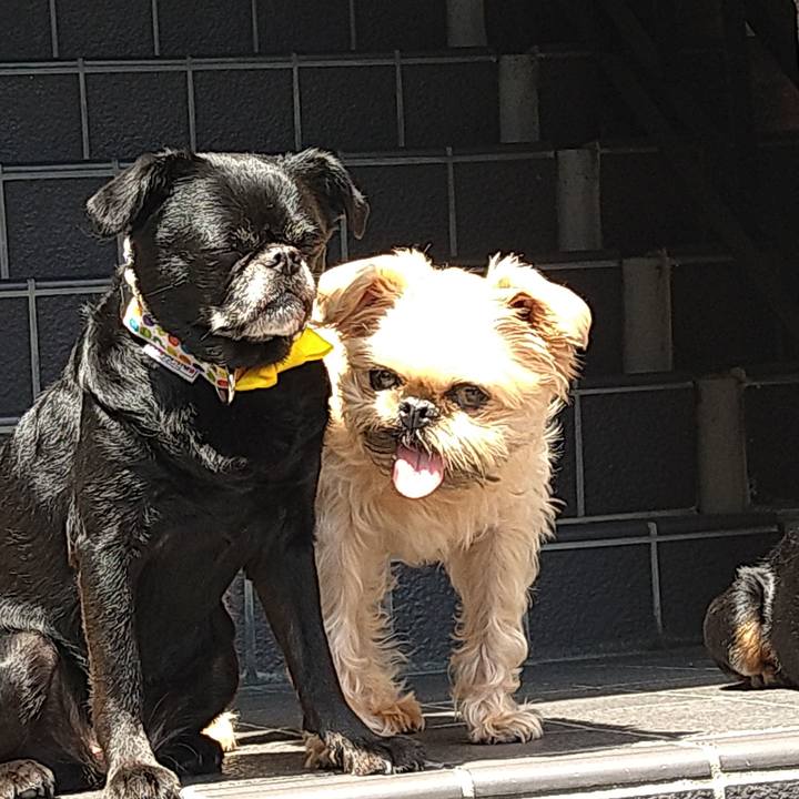 C795ba1a a24e 40fd ad65 e56a16721875 1660475515026