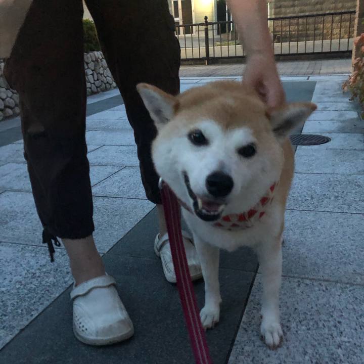 C795f908 7bd0 44d3 8ceb 86b5132b8543 1657245019625