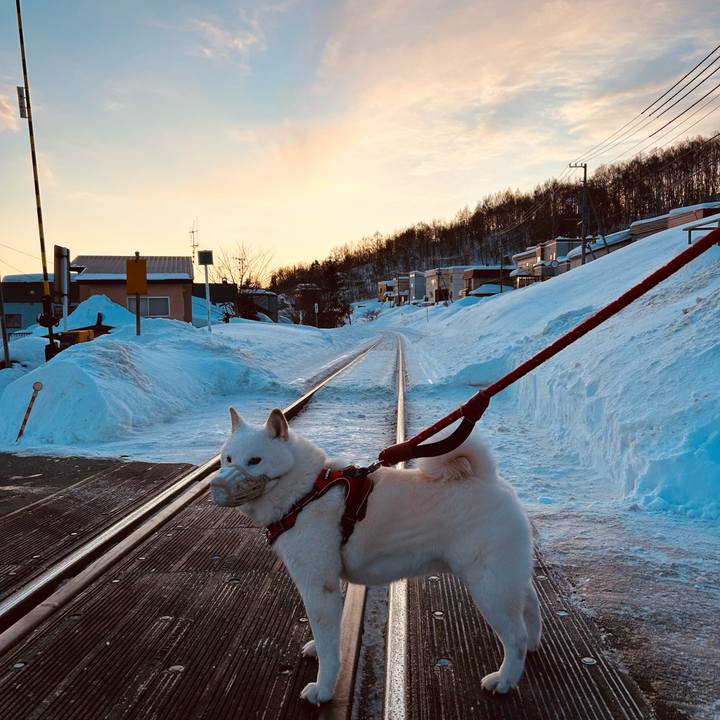 C7960733 753f 4a27 afde 211f3f85f3bb 1706054792397