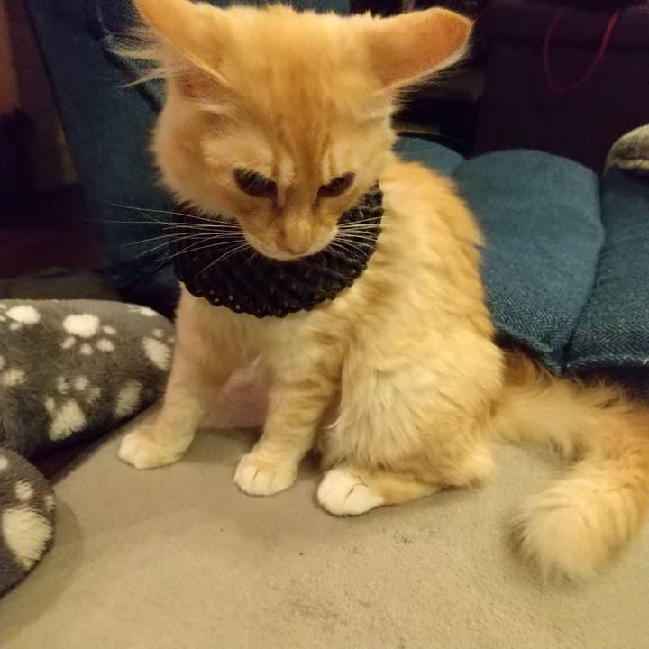 C7961825 80ef 4740 8af1 a0cf7c9c71fd 1609671950919